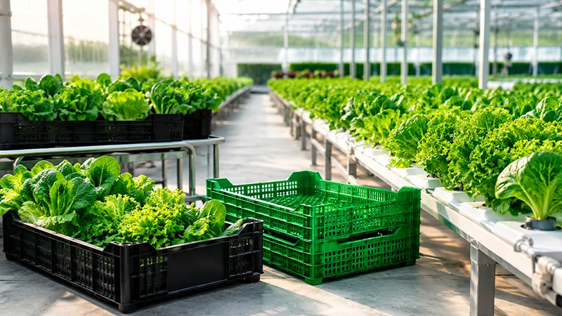 Soluciones plásticas para agricultura